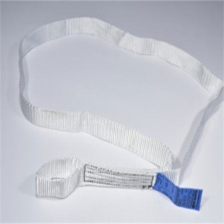 1Tonne Single Use Sling