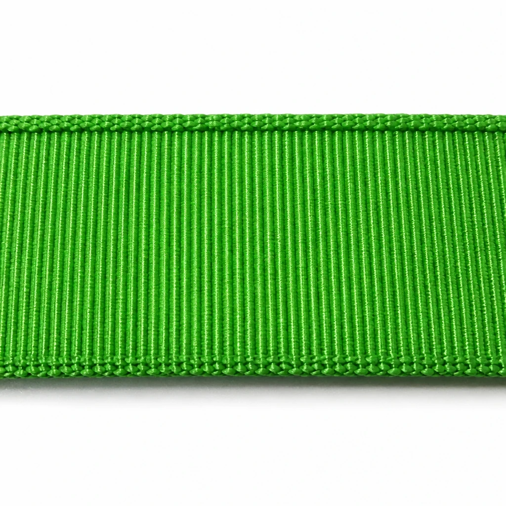 Macro view of green flat woven polyester webbing showing fine longitudinal warp lines and both selvedge edges